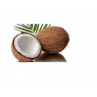 Coconut  x 2 